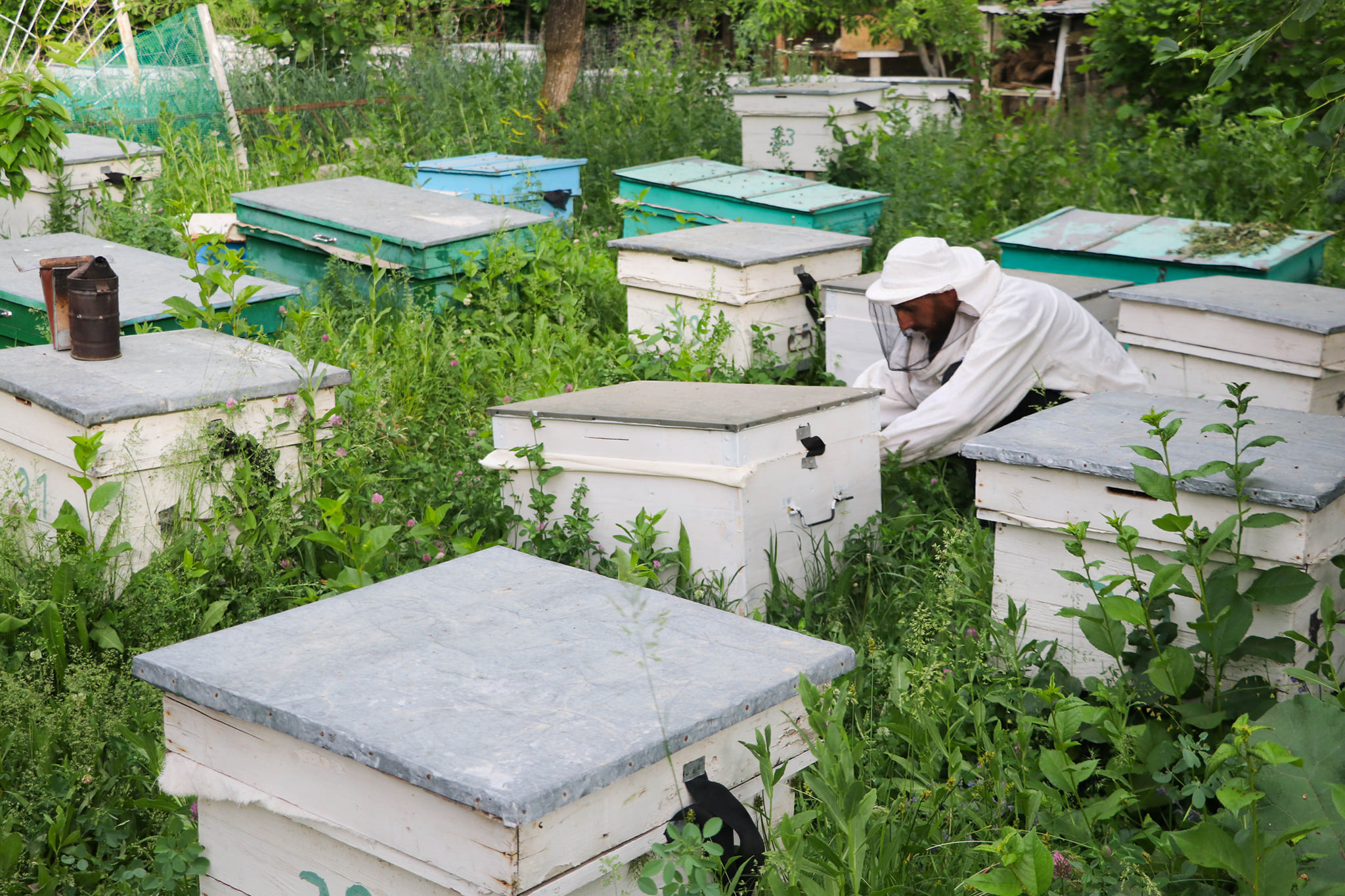 ՄԵՂՎԱԸՆՏԱՆԻՔՆՐԻ ՏՐԱՄԱԴՐՈՒՄ ՎԱՅՈՑ ՁՈՐԻ ՄԱՐԶՈՒՄ ԱՊԱՍՏԱՆԱԾ ԱՐՑԱԽՑԻՆԵՐԻՆ