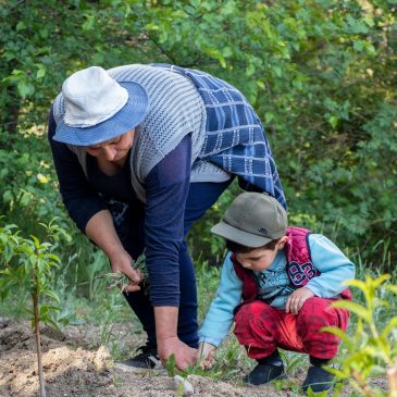 INTENSIVE ORCHARD EXPANSION IN THE RIND SETTLEMENT OF VAYOTS DZOR REGION