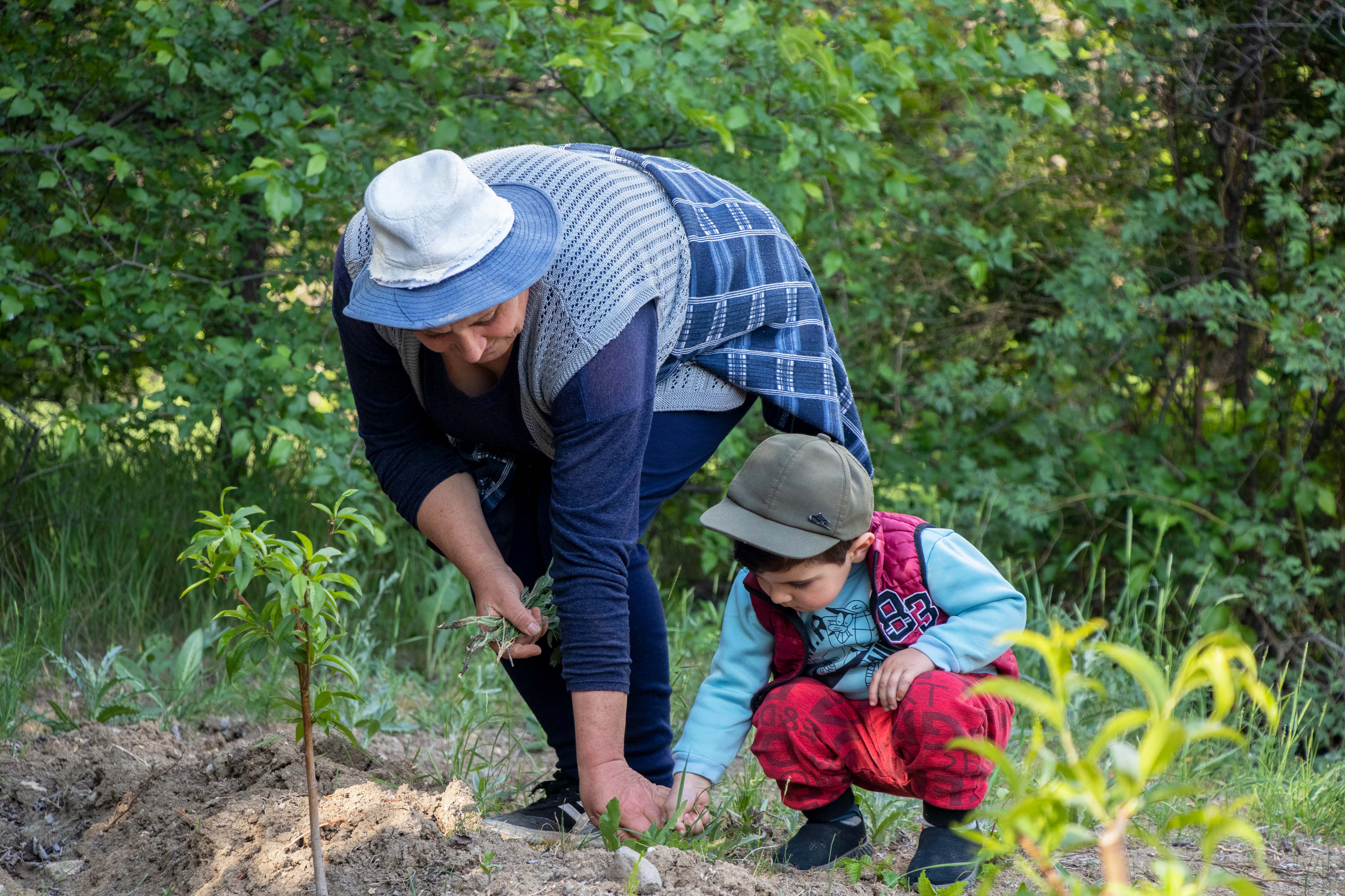 ԻՆՏԵՆՍԻՎ ԱՅԳՈՒ ԸՆԴԼԱՅՆՈՒՄ ՎԱՅՈՑ ՁՈՐԻ ՄԱՐԶԻ ՌԻՆԴ ԲՆԱԿԱՎԱՅՐՈՒՄ